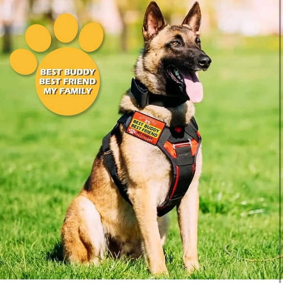 Service Dog Patch Set 9 pcs dog patches for harness in different styles - Picture 6 of 7